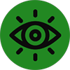 Our Vision